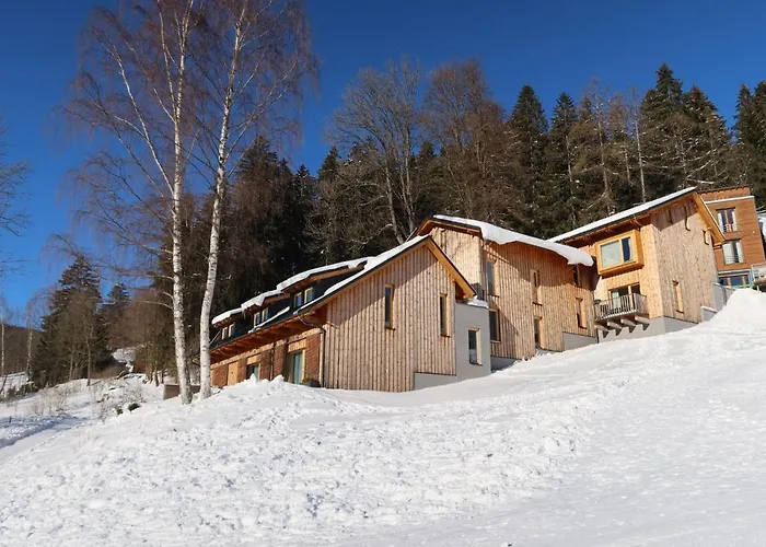Ski-in Ski-out Mountain Duplex Portasky3 By Interhome * Pec pod Sněžkou